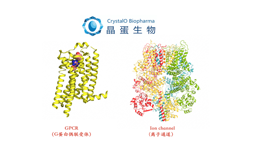 晶蛋生物完成近亿元Pre-A轮融资