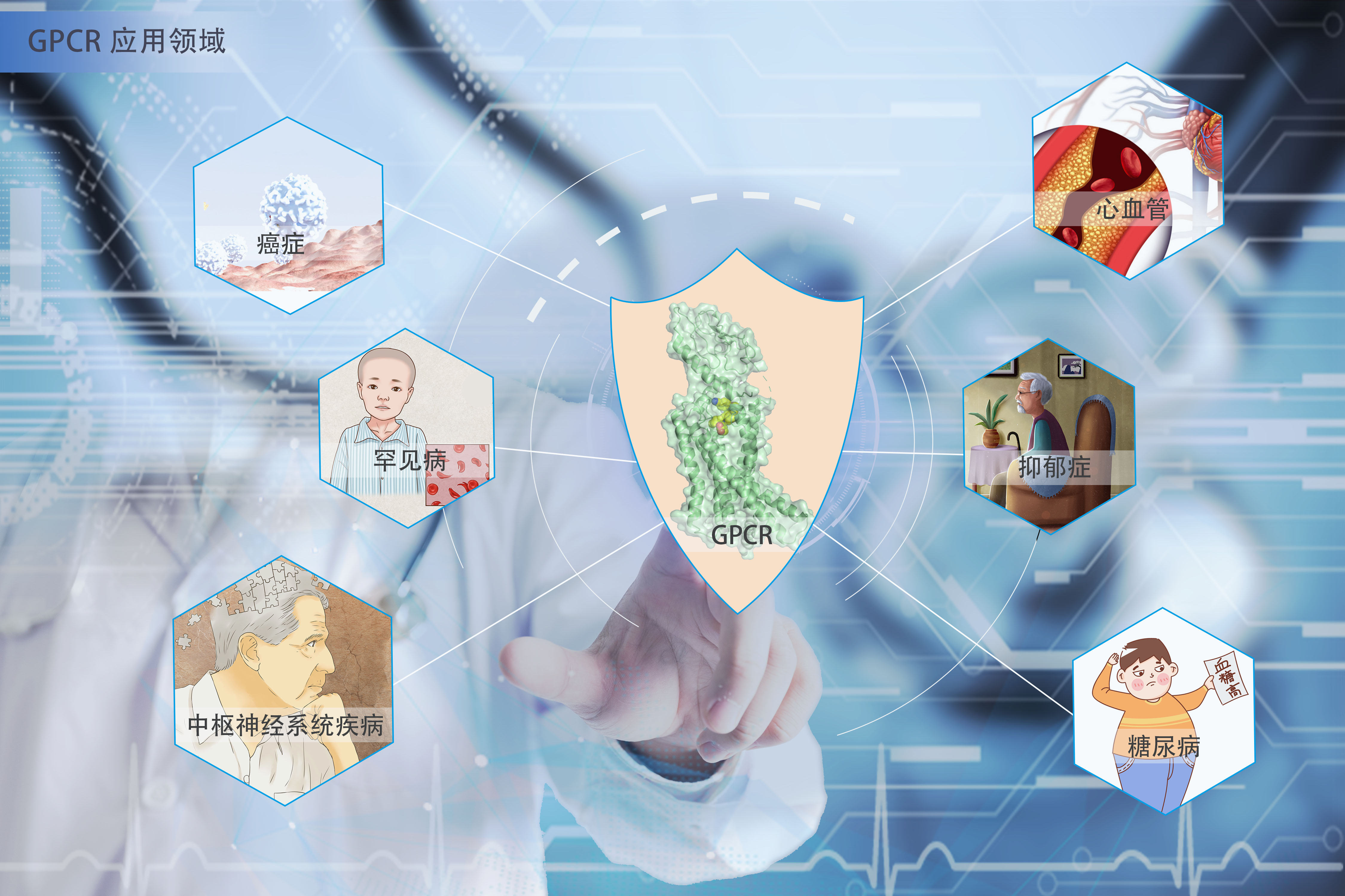 晶蛋生物带您探索“GPCR抗体药物”发展现状的前世今生