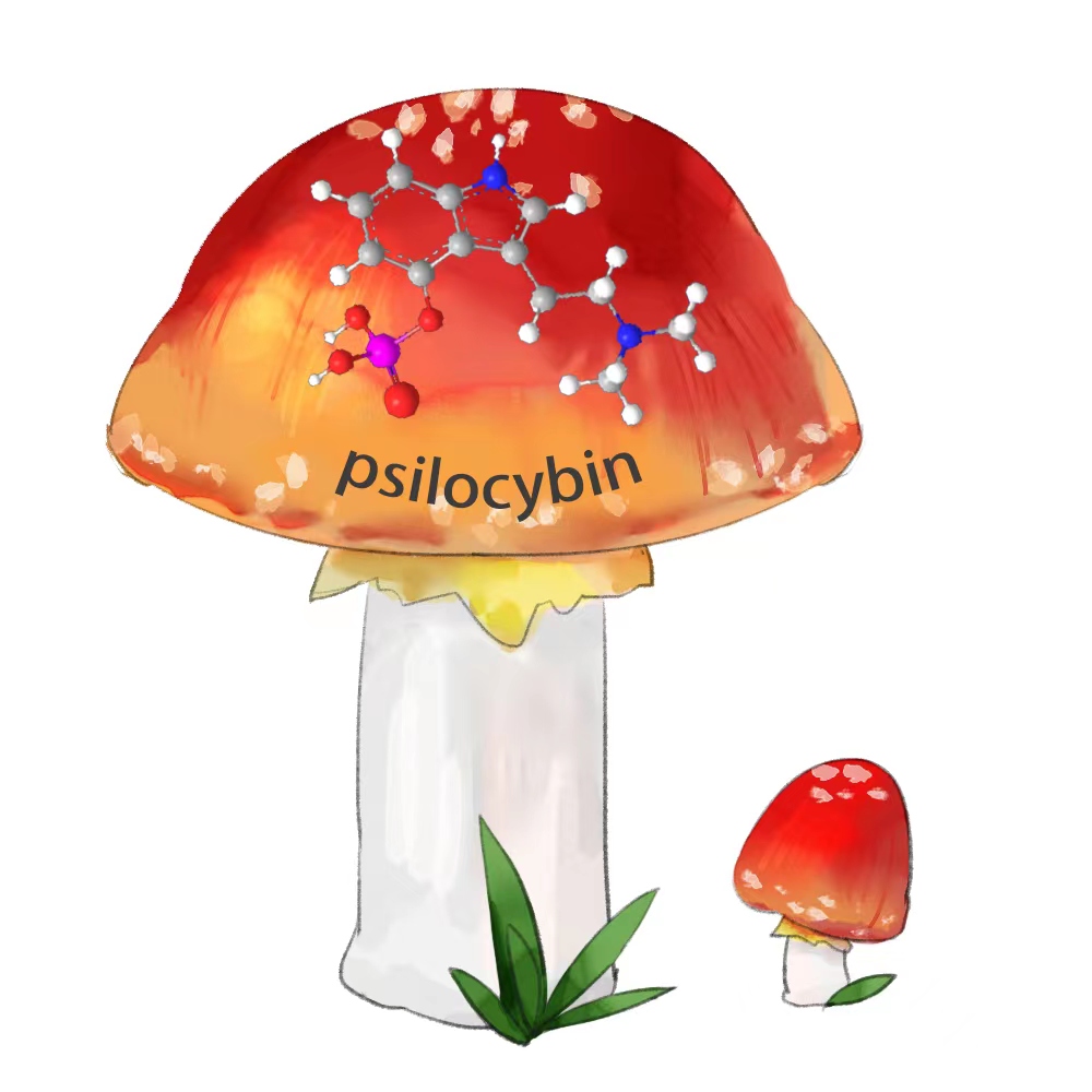 裸盖菇素治疗抑郁症有奇效