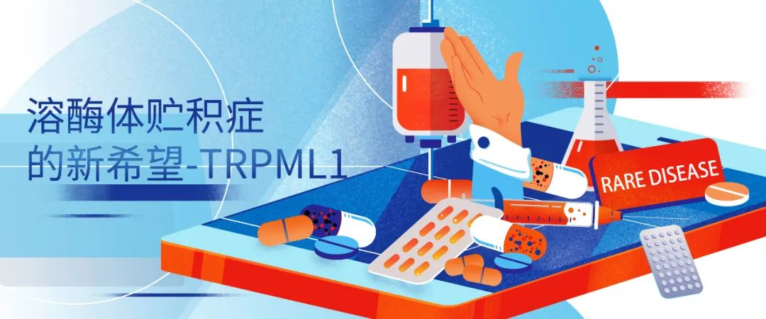 靶向治疗罕见病的新希望-离子通道TRPML1