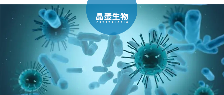 新的天花？猴痘病毒潜在的药物靶点有哪些？