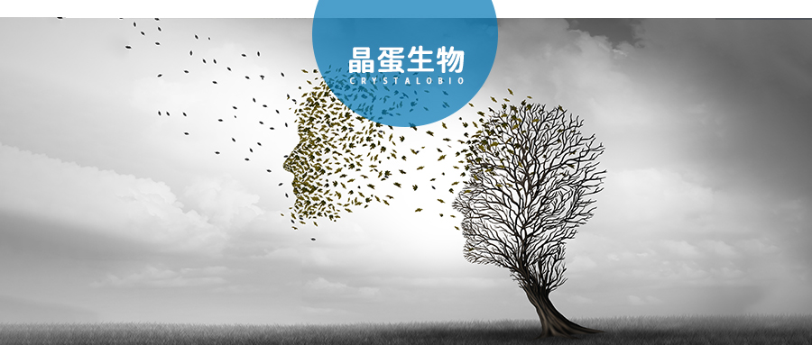 Nature子刊|阿尔兹海默症的元凶不是β淀粉样蛋白，竟是溶酶体酸化障碍！