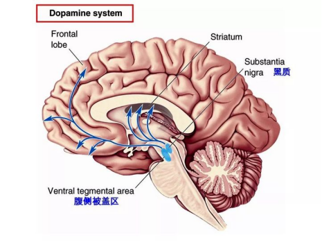 27bdc64e332e64160404867bef5b90c1.png