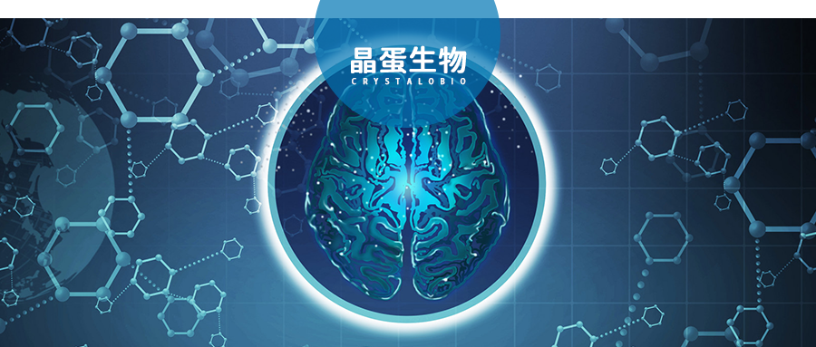 颤抖的辛酸，神经系统退行性病变之帕金森