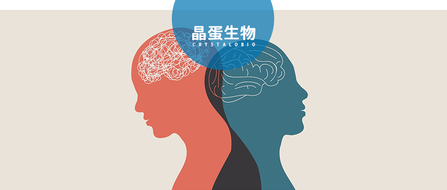 情绪冰火两重天-躁郁症（双相情感障碍）