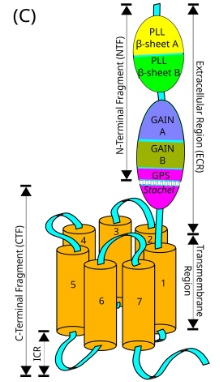 edb4fa3520f1efeffba2466e42a85b9a.png