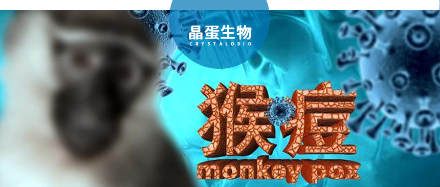 猴痘的前世今生