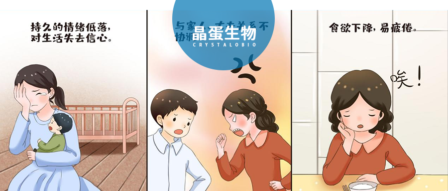 白天不懂夜的黑-情感障碍之抑郁症