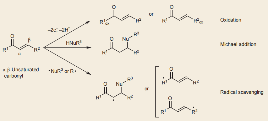 16cb52f4874b333f5734c8faa04d98a4.png