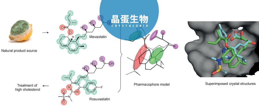 基于天然产物片段的药物设计